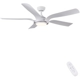 CJOY Deckenventilator mit Beleuchtung, Deckenventilator mit Fernbedienung Weiß 142 cm Ventilator Lampe Decke Gleichstrommotor Dimmbar, Reversible 5 Lüfterblätter, 3000K/4000K/6500K