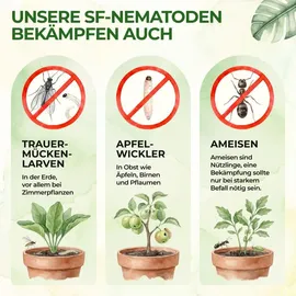 green guardia Super SF-Nematoden gegen Erdflöhe 2 Mio. für 4 m2