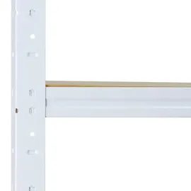 shelfplaza HOME 100x60x60 cm Schwerlastregal in weiß mit 3 Böden und 175 kg Traglast pro Boden
