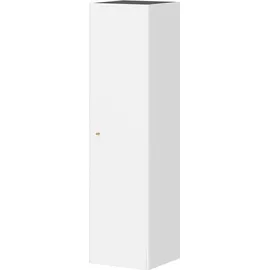 Germania Hängeschrank Monteo, Weiß, Massivholzdetail, 38 x 141 x 37 cm (BxHxT)