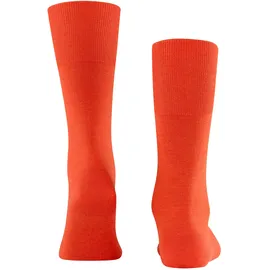 Falke Airport ziegel 39-40