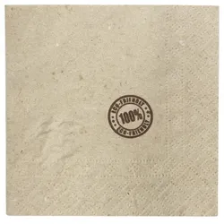 MONOUSO - Bio Cocktail-Servietten mit Rand 20x20cm 2-lagige (100 Stück)