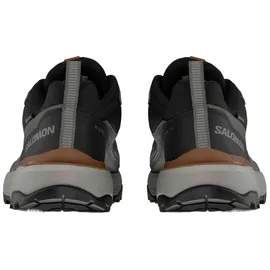 Salomon Herren X Ultra 360 LTR GTX Schuhe (Größe 43 , grau)