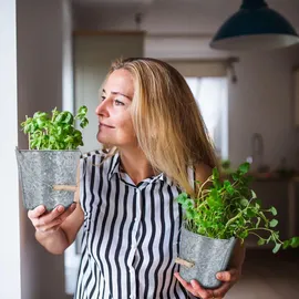 Relaxdays Zinktopf 5er Set, Kräutertopf für Küche, Balkon & Garten, verzinkter Blumeneimer aus Metall mit Henkel, Silber