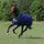 Bucas Freedom Turnout Light Pferdedecke 0g 115 cm Navy/Silber
