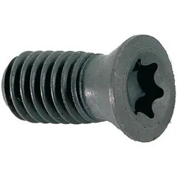 WerkzeugHERO Spannschraube M4x10 T15