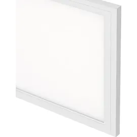 Briloner Finn (7191-016)