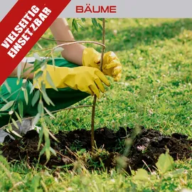 Practixx Benzin Erdbohrer PX-EB-52 Practixx | 1,97PS | 800mm | inkl. 3x Bohrer