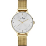 Skagen Anita Mesh 30 mm SKW2150