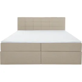 Home Affaire Ovalo 214 x 230 cm H2 Beige