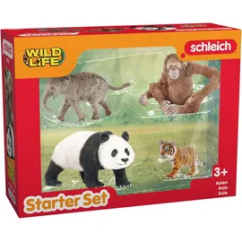 Schleich Wild Life Asien Starter Set,