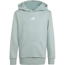 adidas - Kid's Essentials Hoodie - Hoodie Gr 164 grau
