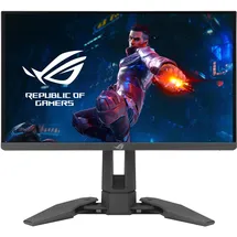 Asus ROG Swift PG248QP 24,1" schwarz