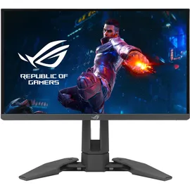 Asus ROG Swift PG248QP 24,1" schwarz