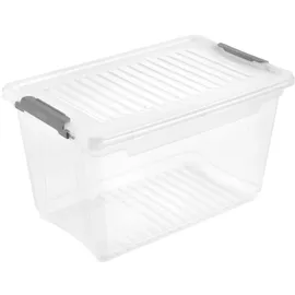 KEEEPER Aufbewahrungsbox leonie 5,4 l 1-tlg. Transparent/Grau