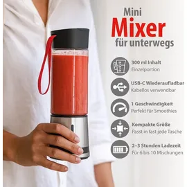 Alpina Smoothie Maker to Go 300ml Standmixer