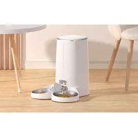 rojeco 4L Button Version (Doppelnapf)