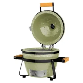 Cecotec Dragonfire 3200 Grün
