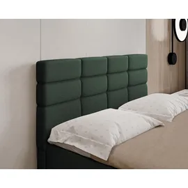 panda möbel Boxspringbett 140 x 200 cm Dunkelgrün