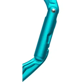 Edelrid Axiom Karabinerhaken Icemint