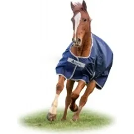 Bucas Atlantic Turnout 200 g, Outdoordecke, Weidedecke in zwei Farben, Farbe:Atlantic/Silver, Größe:145 - Grün