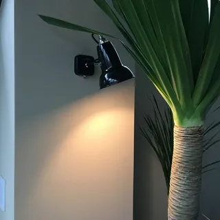 Anglepoise Original 1227 Mini (31576) schwarz
