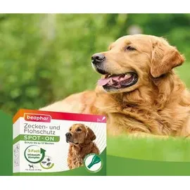 beaphar Zecken- und Flohschutz Spot-On für Hunde über 15 kg 3 x 2 ml