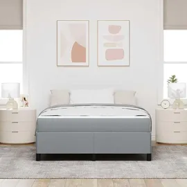 vidaXL Boxspringbett 160 x 200 cm Hellgrau