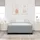 vidaXL Boxspringbett 160 x 200 cm Hellgrau