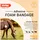 Snögg Animal Polster Bandage 14 cm x 200 cm Weiß