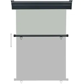 vidaXL Seitenmarkise 125 x 250 cm Grau Polyester