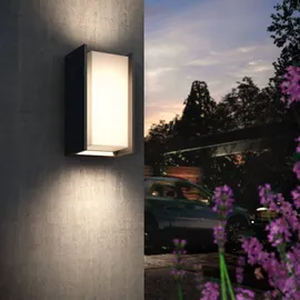 Philips Hue White Turaco Wandleuchte