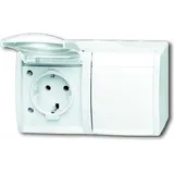 Busch-Jaeger Doppelsteckdose 20/2 EBW-54 2 St. Weiß