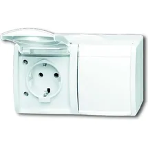 Busch-Jaeger Doppelsteckdose 20/2 EBW-54 2 St. Weiß