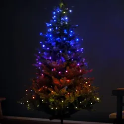 LED Lichterkette - App gesteuert - 100 farbwechselnde LED - verschiedene Funktio...