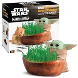 Chia Katzengras-Pflanzgefäß – Star Wars The Mandalorian The Child – Gesundes Leckerli für Ihre Katze – Dekorativer Keramik-Pflanzgefäß, einfach zu tun und Spaß zu wachsen, originelles Geschenk,