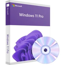 Windows 11 Pro inkl. DVD