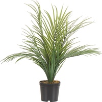 Beliani Kunstpflanze im Blumentopf 45 cm Areca Palm