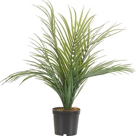 Beliani Beliani, Kunstpflanzen, Areca Palm