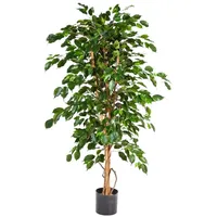 aplanta Künstlicher Ficus - Kristin | 210 cm