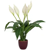 Europalms Einblatt, Kunstpflanze, 60cm