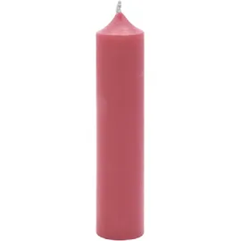 Kerzenfarm Hahn Stabkerzen 100 x 22 mm 25 St. Altrosa