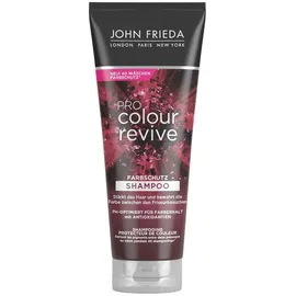 John Frieda Pro Colour Revive Farbschutz Shampoo 250 ml