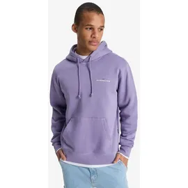 QUIKSILVER SALT WATER GRAPHIC Hoodie 2026 daybreak - L