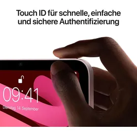 Apple iPad mini (6. Generation 2021) 256 GB Wi-Fi + Cellular rosé