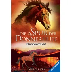Flammenschlucht - Die Spur der Donnerhufe (Bd. 1)