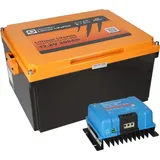 SET LIONTRON LiFePO4 Akku 12,8V 200Ah Untersitz + Victron Orion-Tr Smart 12/12-30A Ladebooster