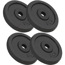 vidaXL Hantelscheiben Hantel-Set 4 Stk. 4x5 kg Gusseisen schwarz