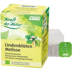 Salus Lindenblüten Melisse Tee