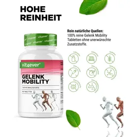 Vit4ever Gelenk Mobility Tabletten 160 St.